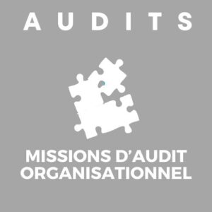 Audit organisationnel ISO